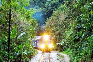 inca jungle